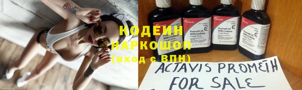 эйфоретик Майский