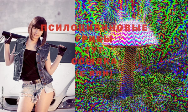 эйфоретик Майский