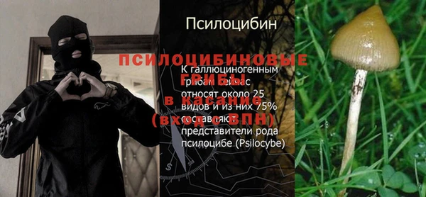 эйфоретик Майский