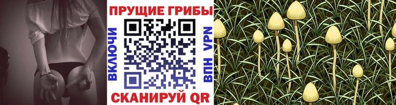 Псилоцибиновые грибы прущие грибы  Купить  Нарткала 